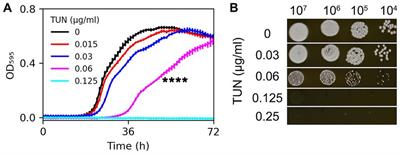 Unveiling genome plasticity as a mechanism of non-antifungal-induced antifungal resistance in Cryptococcus neoformans